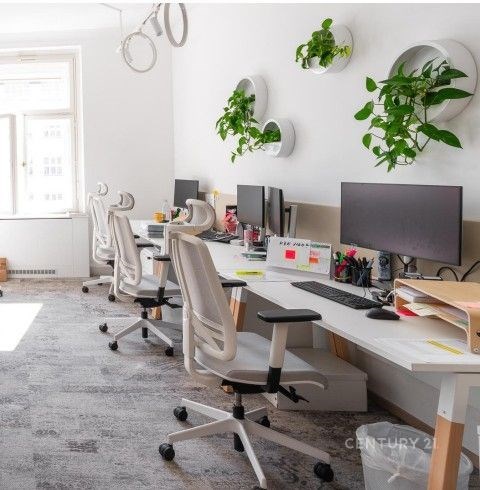 Moderní kancelářský prostor s ergonomickými židlemi, světlý interiér, velká okna, šedý koberec a stěny dekorované rostlinami.