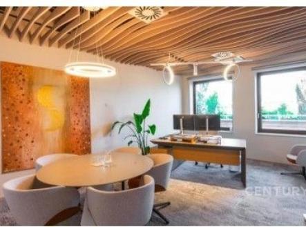 Pronájem obchodní prostory, 503 m²