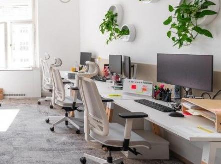 Pronájem obchodní prostory, 503 m²
