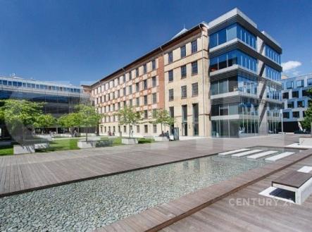 Pronájem kanceláře, 330 m²
