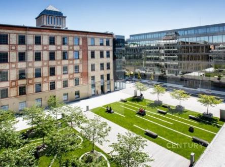 Pronájem kanceláře, 330 m²