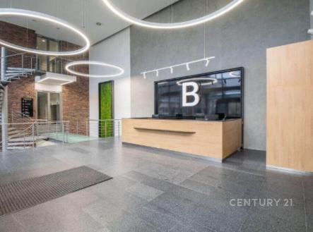 Pronájem kanceláře, 1 000 m²