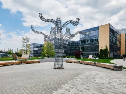 Pronájem kanceláře, 1 000 m²