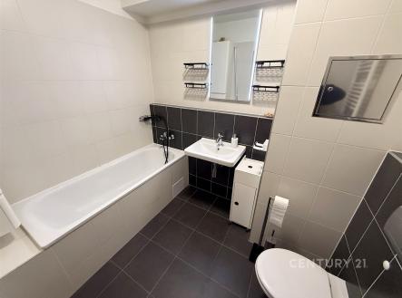 Pronájem bytu, garsoniéra, 40 m²