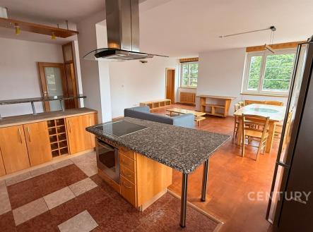 Pronájem bytu, 3+kk, 129 m²