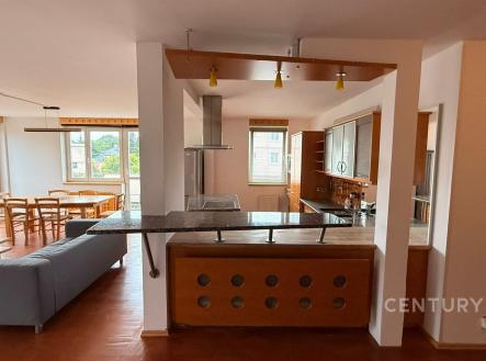 Pronájem bytu, 3+kk, 129 m²