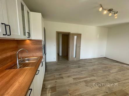 Pronájem bytu, 3+kk, 68 m²