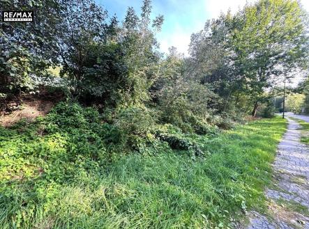 Prodej pozemku pro bydlení, 1 259 m²