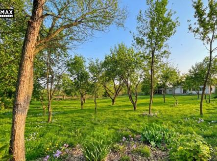 Prodej pozemku pro bydlení, 1 009 m² obrázek