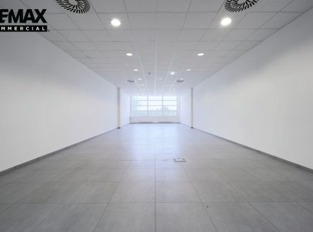 Pronájem obchodní prostory, 301 m²
