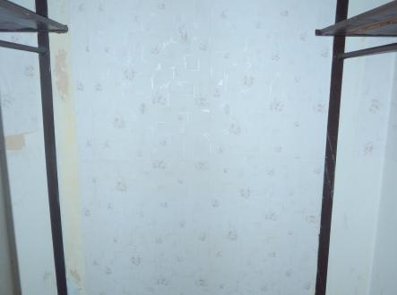 DSCN4736