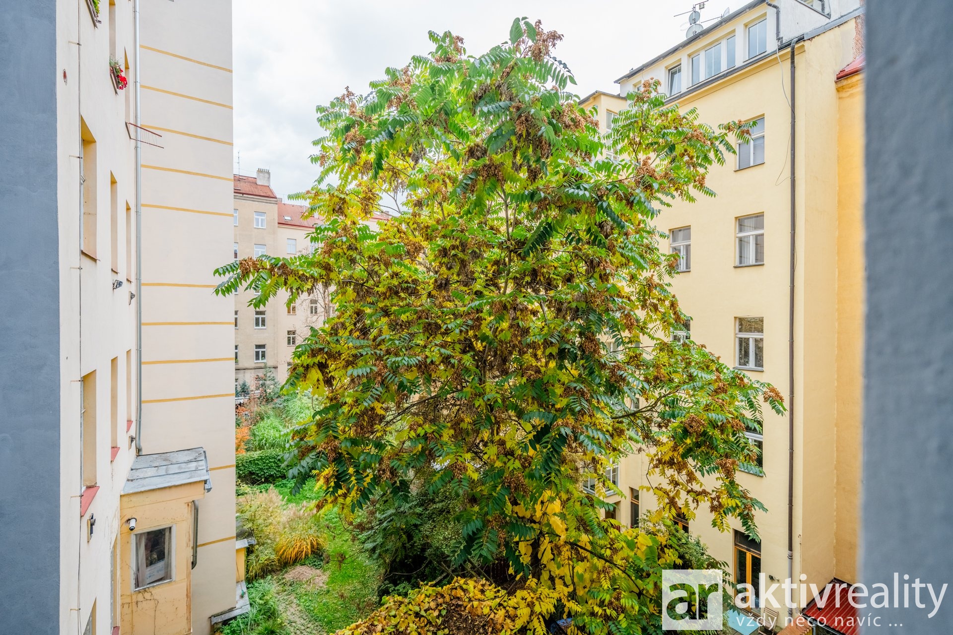 Fotku se nepodařilo načíst.