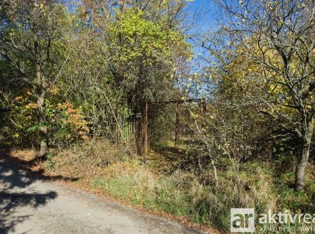 Prodej pozemku, zahrada, 2 116 m²