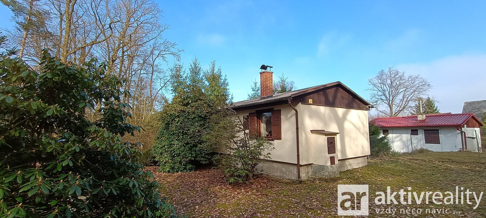 IMG_20260303_135036366