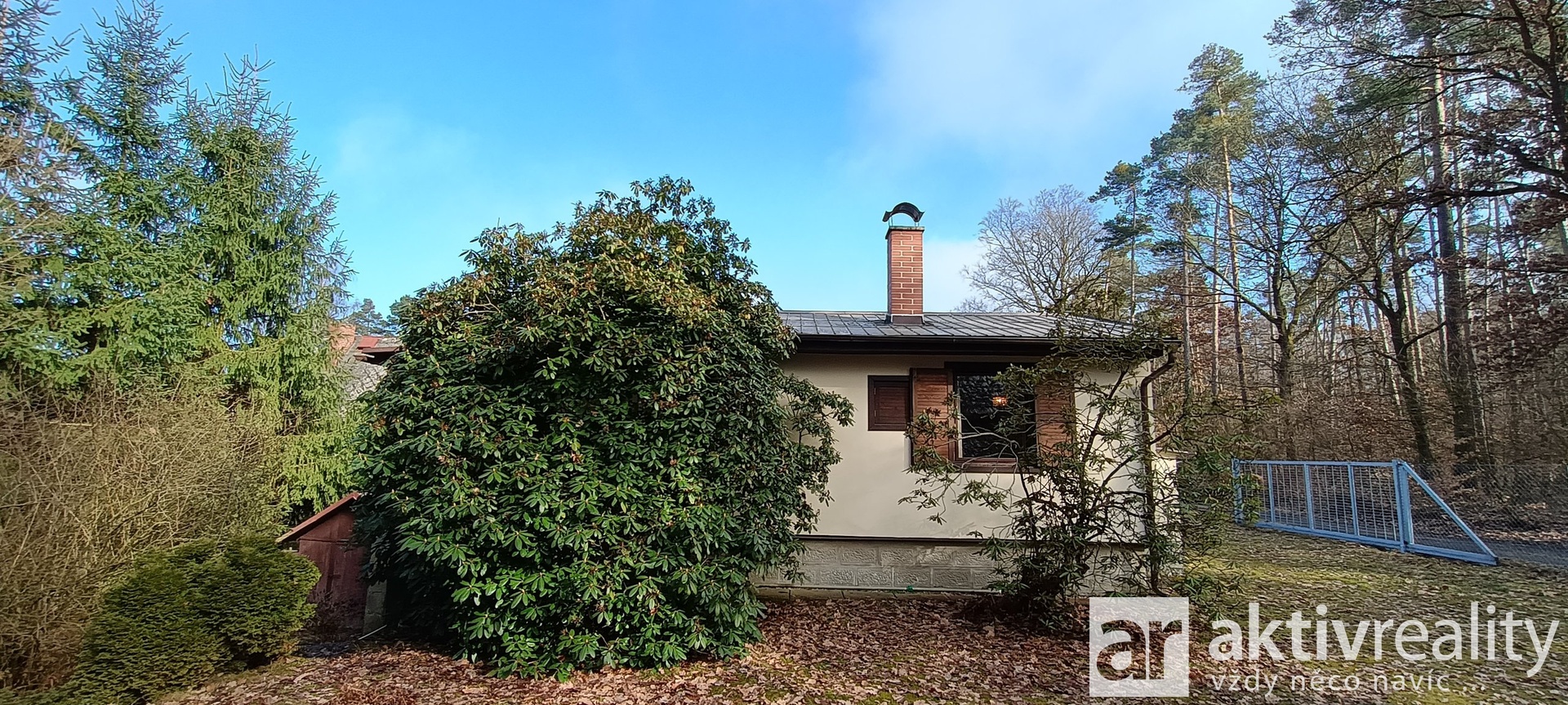 IMG_20260303_135021821