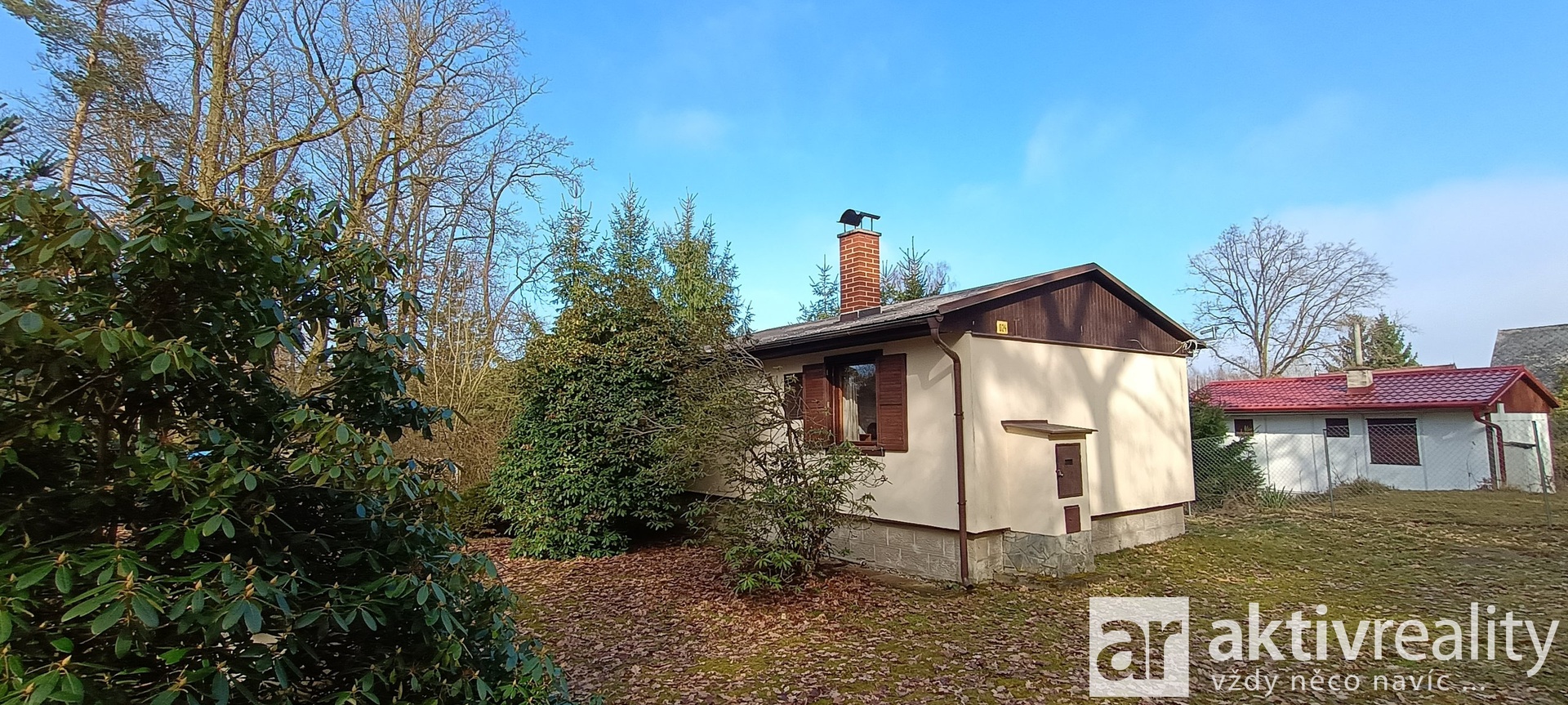 IMG_20260303_135036366