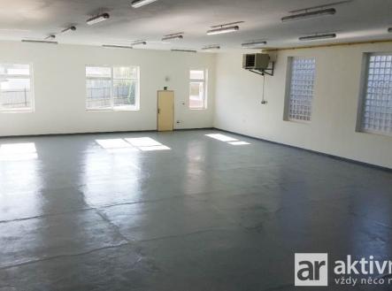 Pronájem komerčního objektu, sklad, 316 m²