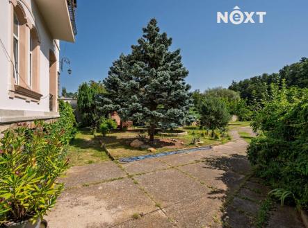 Prodej domu/vily, 360 m²