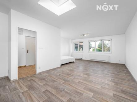 Pronájem bytu, 1+kk, 45 m²