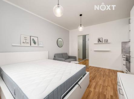 Pronájem bytu, 1+kk, 24 m²