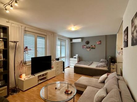 Pronájem bytu, 1+kk, 60 m²