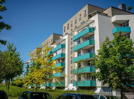 Pronájem bytu, 2+kk, 66 m²