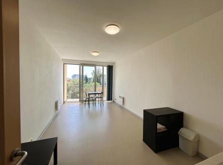Pronájem bytu, 1+kk, 31 m²