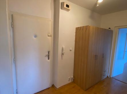 Pronájem bytu, 1+1, 39 m²