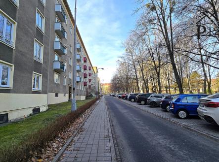 20250120-115442-1.jpg