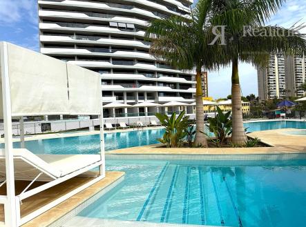 Orchid Casel de Paradise.