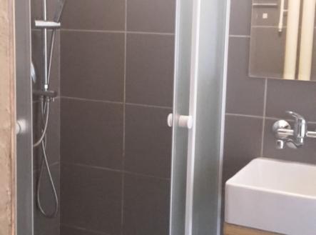 Pronájem bytu, 1+1, 43 m²