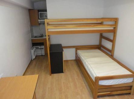 Pronájem bytu, 1+kk, 30 m²