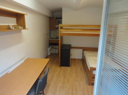 Pronájem bytu, 1+kk, 30 m²