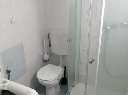 Pronájem bytu, 1+1, 27 m²