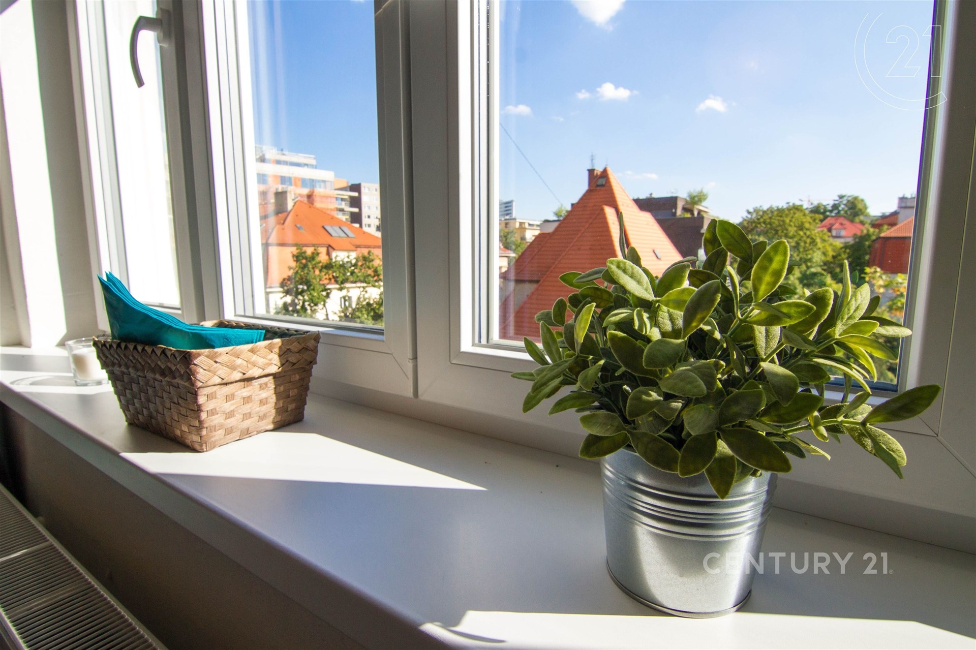 Fotku se nepodařilo načíst.