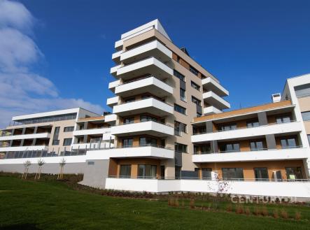 Pronájem bytu, 1+kk, 40 m²