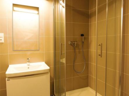 Pronájem bytu, 1+kk, 40 m²