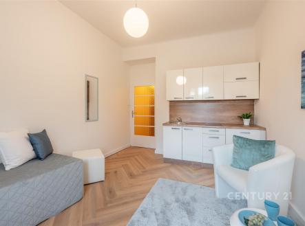 Prodej bytu, 1+kk, 18 m²