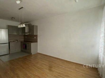 Pronájem bytu, 2+kk, 57 m²