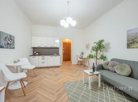 Pronájem bytu, 1+kk, 25 m²