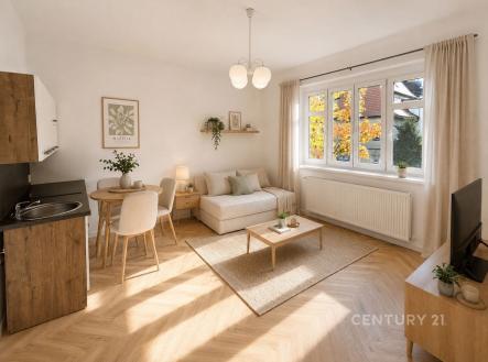 Pronájem bytu, 1+kk, 26 m²