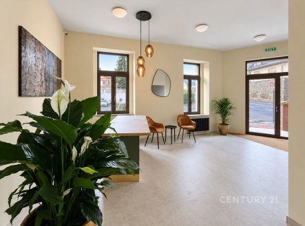 Prodej bytu, 1+kk, 18 m², Praha – náhled fotky 2