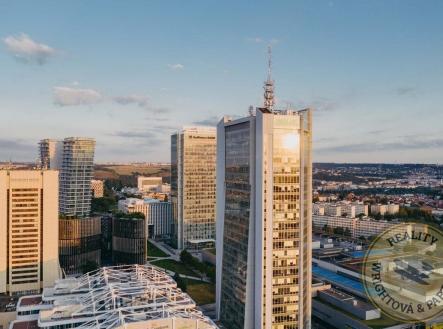 Pronájem kanceláře, 266 m²