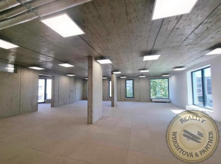 Pronájem kanceláře, 316 m²