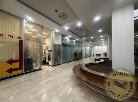 Pronájem kanceláře, 148 m²