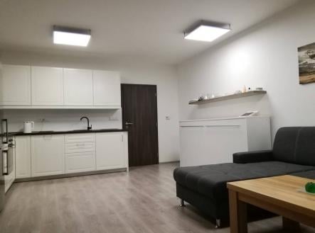 Pronájem bytu, 1+kk, 41 m²