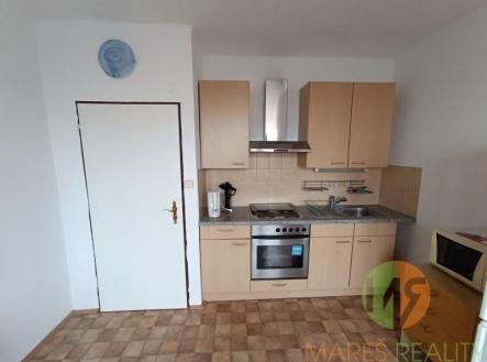 Pronájem bytu, 1+1, 42 m²