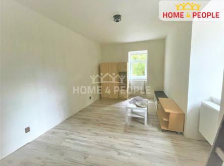 Pronájem bytu, 1+1, 41 m²