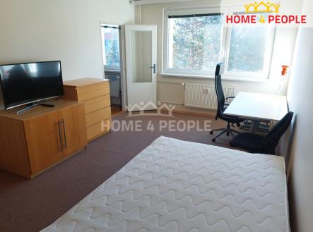 Pronájem bytu, 1+1, 31 m²