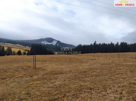 Prodej - pozemek, trvalý travní porost, 2 511 m²